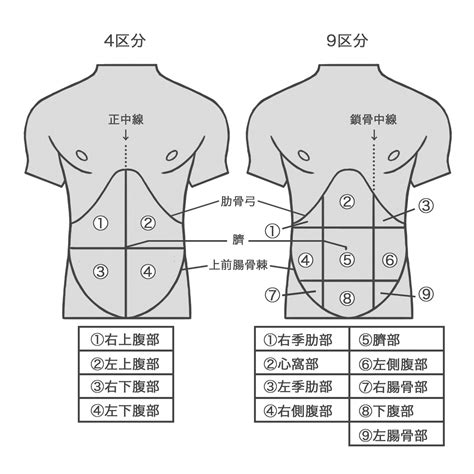 臍壁男子